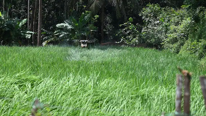 Which pesticides are approved for drone spraying in India
