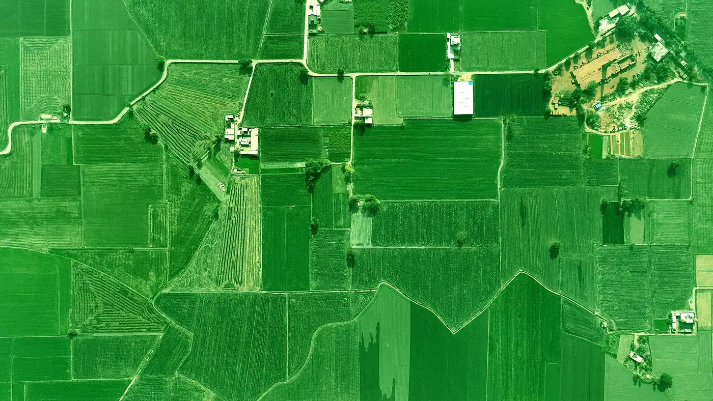 Aerial view of farmland, drone spraying in Gujarat